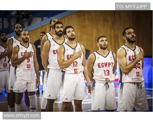 埃及与突尼斯足球对决分析揭示两队战术与实力差异